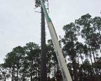 tower64